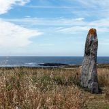 377-Küstenradeln-Quiberon,-Cote-Sauvage-Bretagne,-Frankreich-Juni-2024.jpg